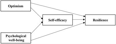 Frontiers | Mediating Role Of Self-Efficacy In The Relationship Between ...